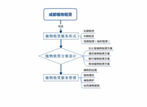 植物租賃的服務流程詳解 輕松開啟您的綠化之旅，享受專業的租賃服務